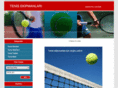 tenisdiregi.net