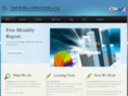 tomborgconsulting.com