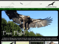 aworldofwings.com