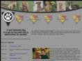 cckc-ames.com