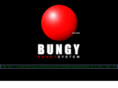 bungysystem.com