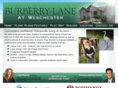 burberrylane.com