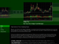 howtobeyourownhedgefund.com