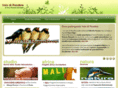 volodirondine.com