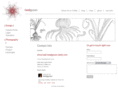 heidigosen.com