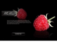 mallinidesign.com