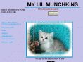 mylilmunchkins.com