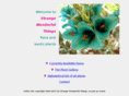 strangewonderfulthings.com