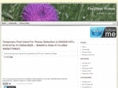 theplainswoman.com