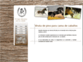 virutadepino.com