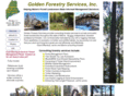 goldenforestry.com