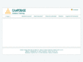 campo-base.net