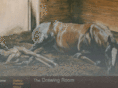 drawingroomsc.com