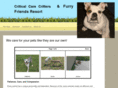 furryfriendresort.com