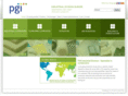pgi-industrial-europe.com