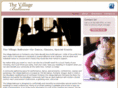 villageballroom.com