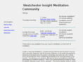 westchesterinsight.org
