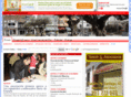 fuengirolaesencial.com