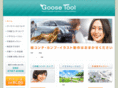 goosetool.net
