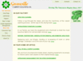 granvillecarpet.com