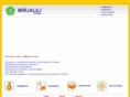 mirjalili.biz