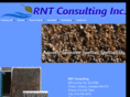 rntconsulting.net