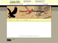flamedeagleproductions.com