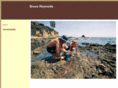 brucesreynolds.com