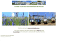 cornishlight.com