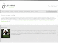 dynamobootcamp.com
