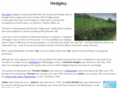 hedgley.com