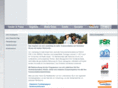 sachsen-news.net