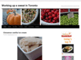 torontoworkout.com