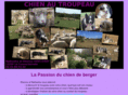 chien-au-troupeau.com