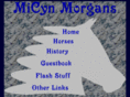 micyn.com