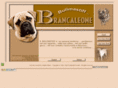 brancaleonebullmastiff.com