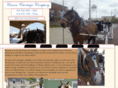 cameocarriagecompany.com