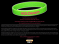 holoscam.com
