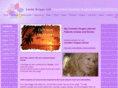 my-cosmetic-surgery-abroad.com