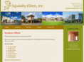 squeakykleeninc.com