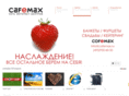 cafemax.ru