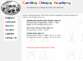 carolinachineseacademy.com