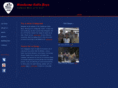 handsomecabinboys.com
