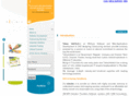 tahooinfotech.com