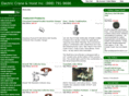 electriccraneandhoist.com