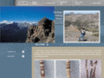 heritagehikingsticks.com