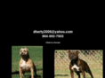newvisionkennels.com