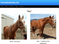 preventhorsecolic.com