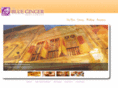 theblueginger.com