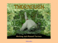 thornbushjrt.com